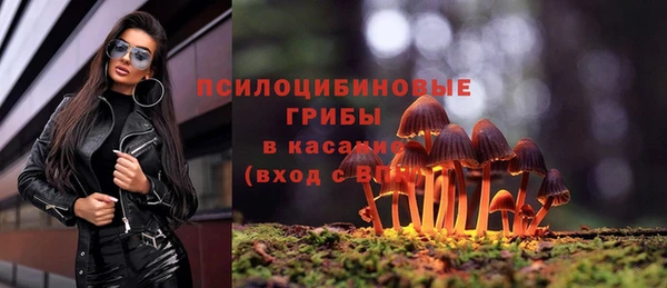 амф Магадан