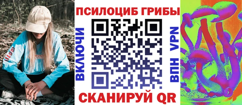 Галлюциногенные грибы Cubensis  купить   Тихорецк 
