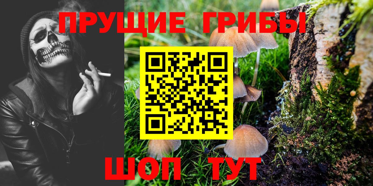 Галлюциногенные грибы Cubensis  Вход с VPN  Тихорецк 