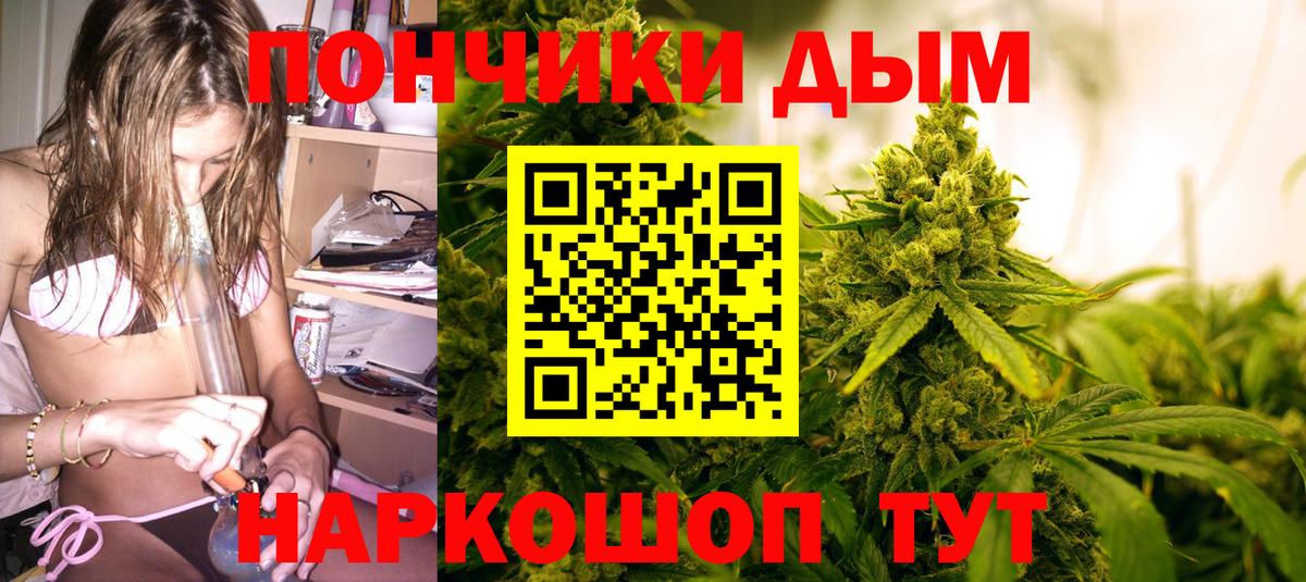 Конопля гибрид Тихорецк